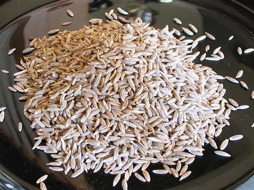 Cumin Seeds