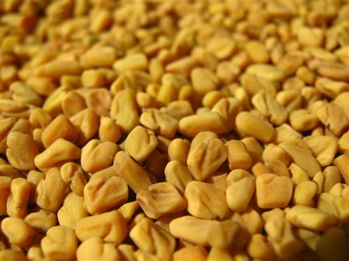 Fenugreek Seeds
