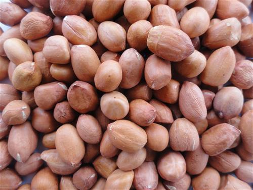 Groundnut kernel (Pure Java)