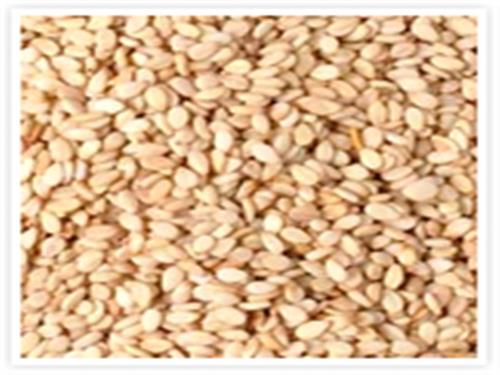 Natural White Sesame Seed